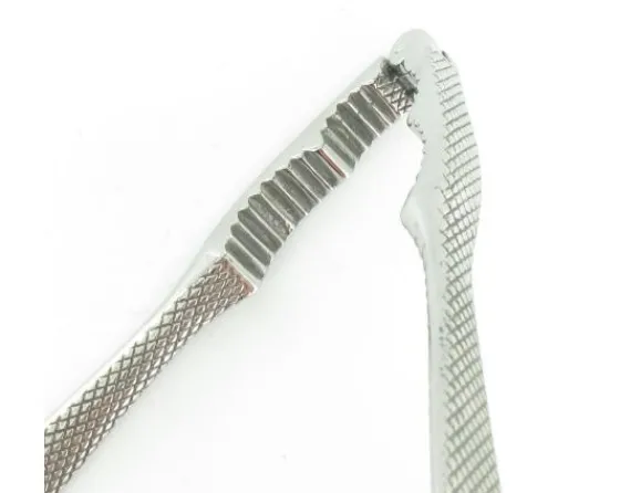 Sabatier Pour La Cuisine<Casse-Noix Tout Acier Carbone