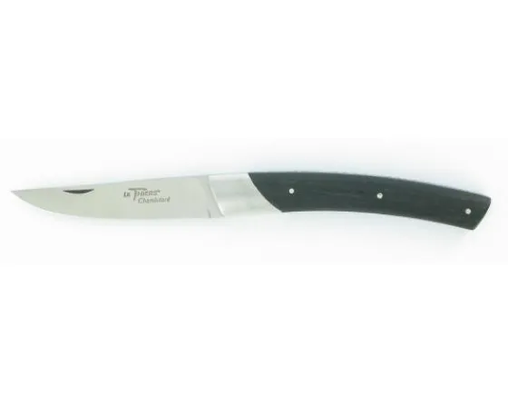 Sabatier Régional | Traditionnel<Compact EBENE