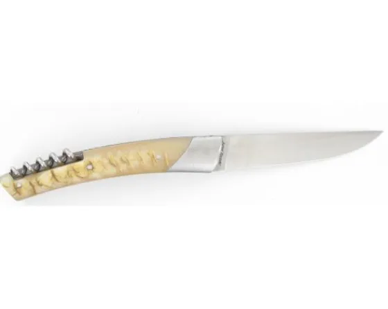 Sabatier Régional | Traditionnel<Grand Cru Corne de Bélier