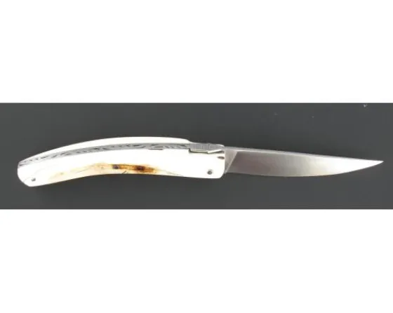 Sabatier Régional | Traditionnel<Le Thiers Pirou Plein Manche Phacochère