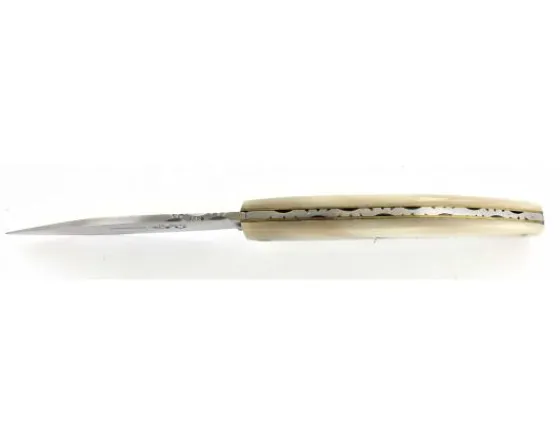 Sabatier Régional | Traditionnel<Saint Amand 12 cm - Corne Blonde - Guilloché