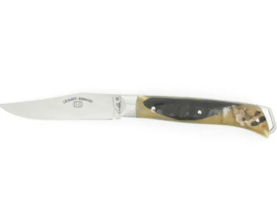 Sabatier Régional | Traditionnel<Saint-Bernard  Bélier