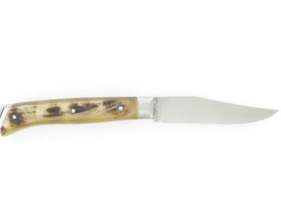 Sabatier Régional | Traditionnel<Saint-Bernard  Bélier