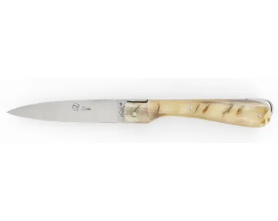 Sabatier Régional | Traditionnel<Sperone  Bélier
