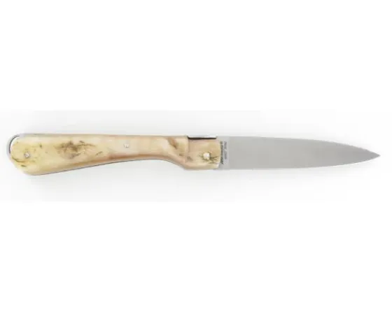 Sabatier Régional | Traditionnel<Sperone  Bélier