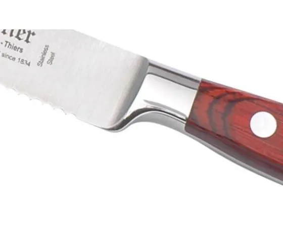 Sabatier Couteaux Lame Acier Inoxydable | Couteaux À Pain<Tomate 13 cm